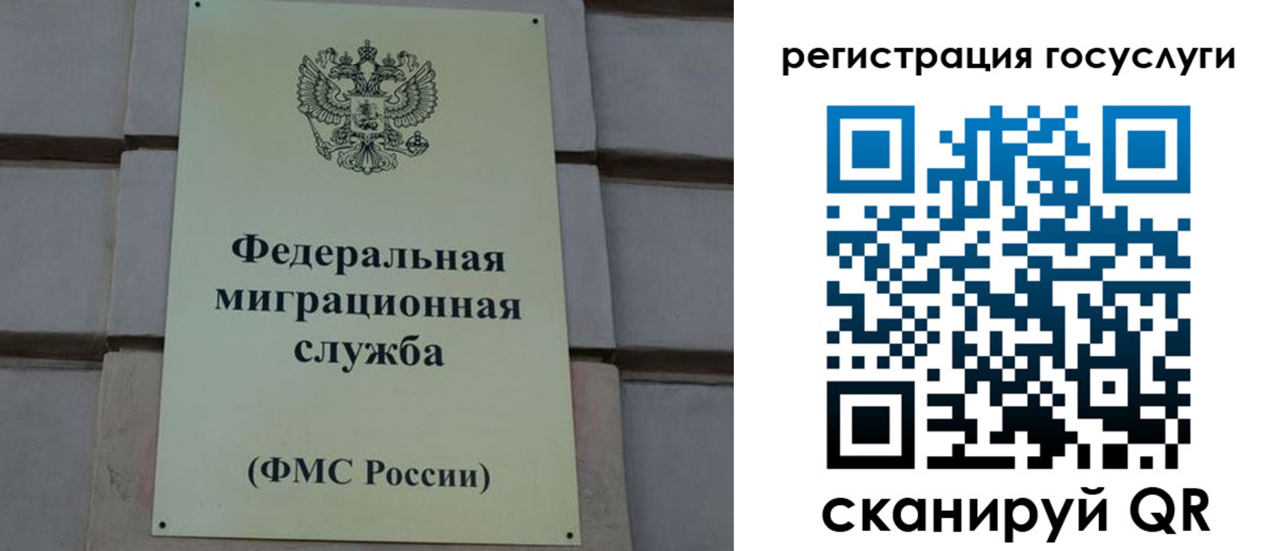 временная регистрация поиск в Красном Сулине
